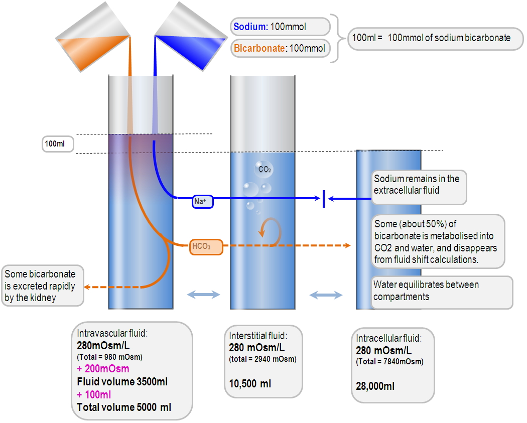 Response to 100mmol of sodium bicarbonate Deranged Physiology